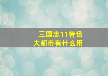 三国志11特色大都市有什么用