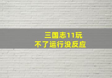 三国志11玩不了运行没反应