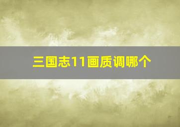 三国志11画质调哪个