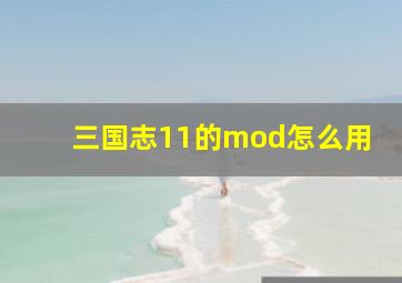 三国志11的mod怎么用