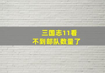 三国志11看不到部队数量了