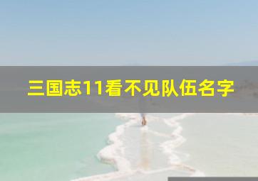 三国志11看不见队伍名字