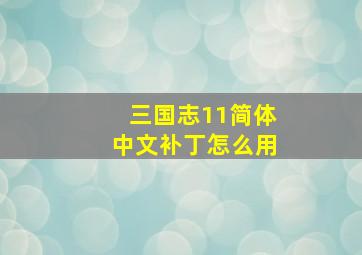 三国志11简体中文补丁怎么用