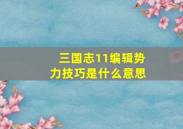 三国志11编辑势力技巧是什么意思