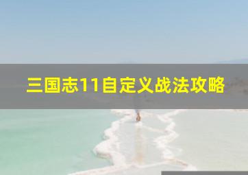 三国志11自定义战法攻略