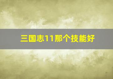 三国志11那个技能好