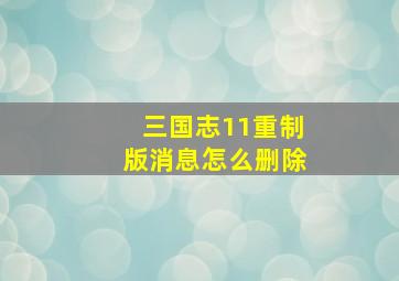 三国志11重制版消息怎么删除