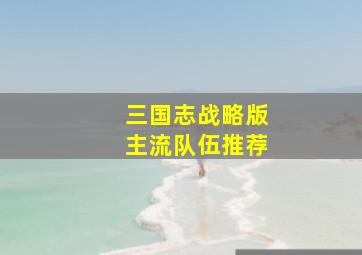 三国志战略版主流队伍推荐