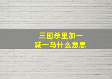 三国杀里加一减一马什么意思