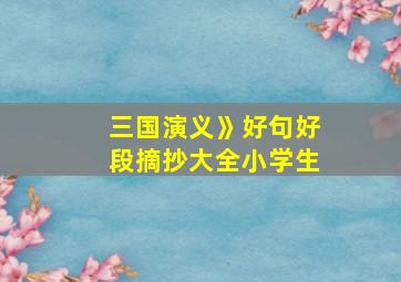 三国演义》好句好段摘抄大全小学生