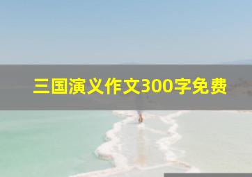 三国演义作文300字免费