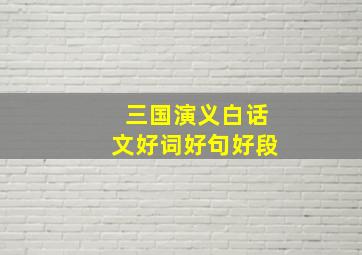 三国演义白话文好词好句好段