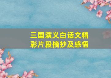 三国演义白话文精彩片段摘抄及感悟