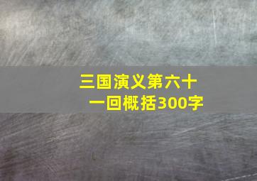 三国演义第六十一回概括300字