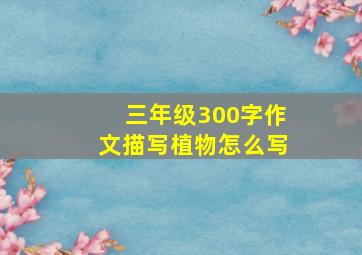 三年级300字作文描写植物怎么写