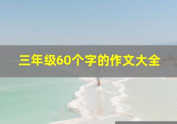 三年级60个字的作文大全