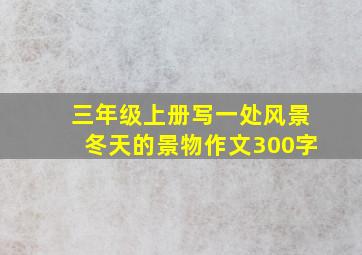 三年级上册写一处风景冬天的景物作文300字