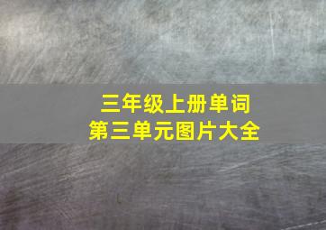 三年级上册单词第三单元图片大全