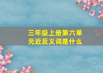 三年级上册第六单元近反义词是什么