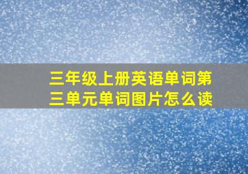 三年级上册英语单词第三单元单词图片怎么读