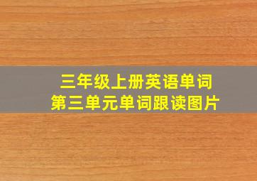 三年级上册英语单词第三单元单词跟读图片