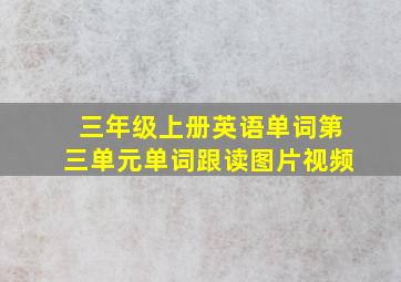 三年级上册英语单词第三单元单词跟读图片视频