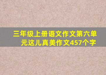 三年级上册语文作文第六单元这儿真美作文457个字