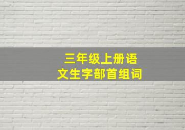 三年级上册语文生字部首组词