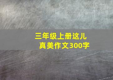 三年级上册这儿真美作文300字