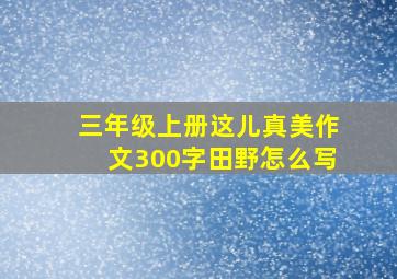 三年级上册这儿真美作文300字田野怎么写