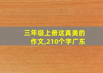 三年级上册这真美的作文,210个字广东