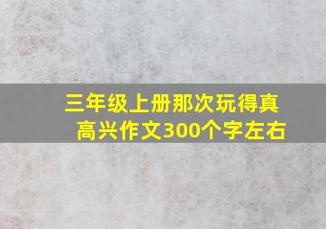 三年级上册那次玩得真高兴作文300个字左右