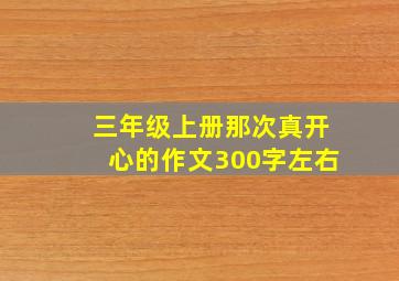 三年级上册那次真开心的作文300字左右