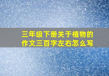 三年级下册关于植物的作文三百字左右怎么写