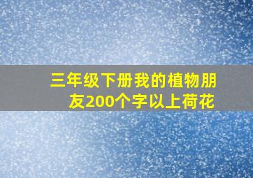 三年级下册我的植物朋友200个字以上荷花