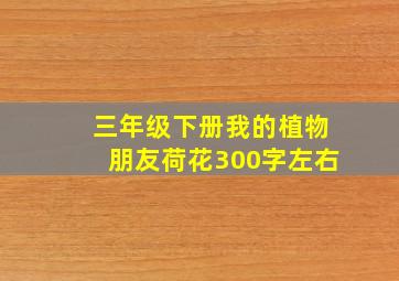 三年级下册我的植物朋友荷花300字左右