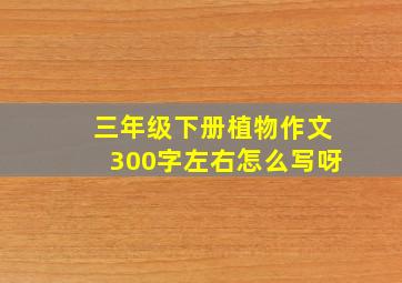 三年级下册植物作文300字左右怎么写呀