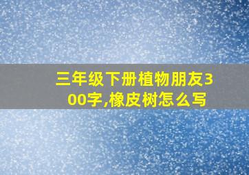 三年级下册植物朋友300字,橡皮树怎么写