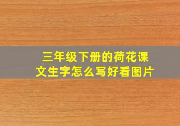 三年级下册的荷花课文生字怎么写好看图片