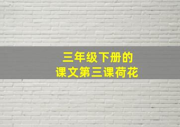 三年级下册的课文第三课荷花