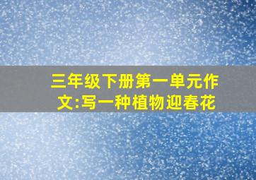 三年级下册第一单元作文:写一种植物迎春花