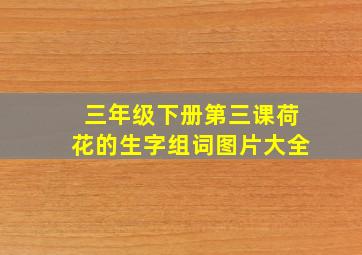 三年级下册第三课荷花的生字组词图片大全