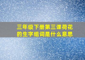 三年级下册第三课荷花的生字组词是什么意思