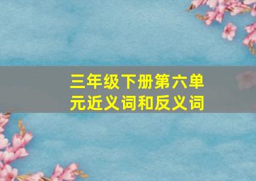 三年级下册第六单元近义词和反义词