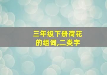 三年级下册荷花的组词,二类字