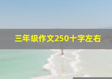 三年级作文250十字左右