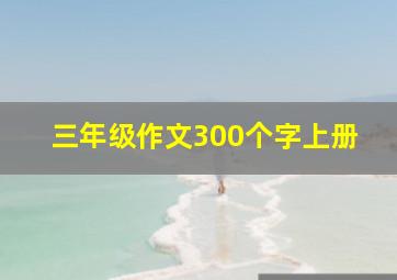 三年级作文300个字上册