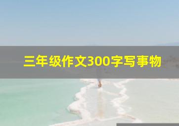 三年级作文300字写事物