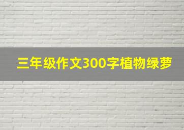 三年级作文300字植物绿萝