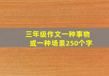 三年级作文一种事物或一种场景250个字